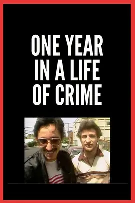 犯罪生活中的一年