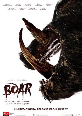 野猪 Boar