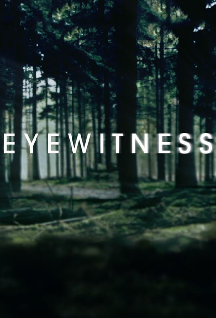 目击证人