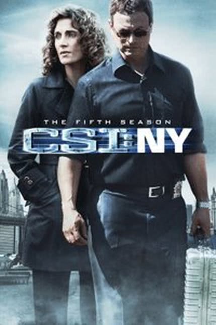 犯罪现场调查：纽约第五季