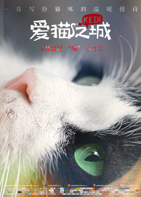 爱猫之城 普通话版