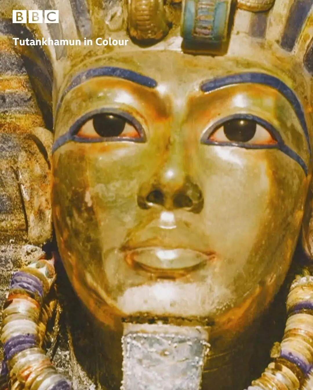 Tutankhamun in Colour
