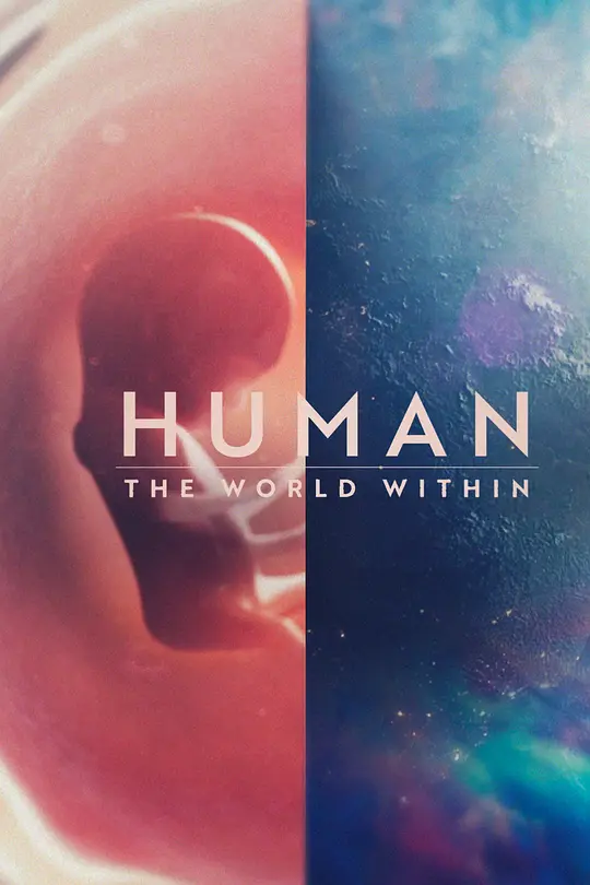 人类：体内的世界 第一季