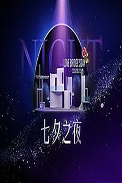 湖南卫视七夕之夜剧场秀2013