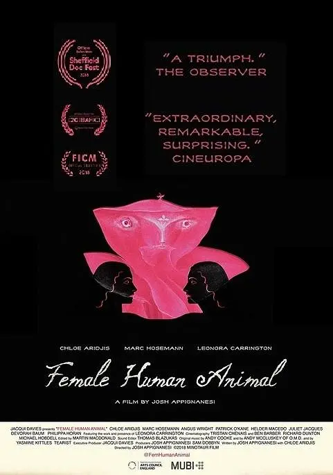 女性人类动物