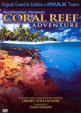 珊瑚礁 2003