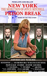 new-york-prison-break-the-seduction-of-joyce-mitchell 2017